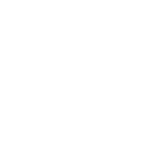 Logo Carrefour 